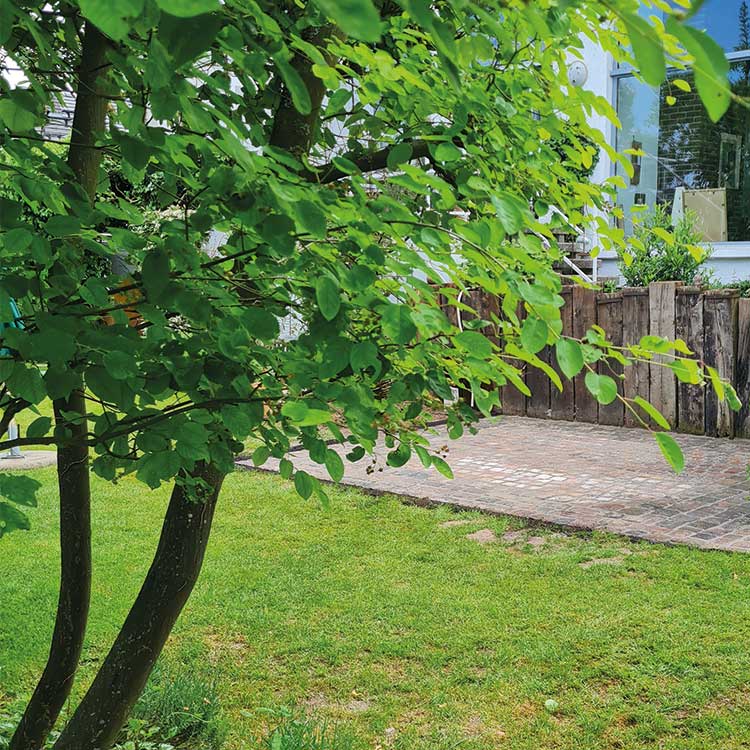 Gehölzschnitt