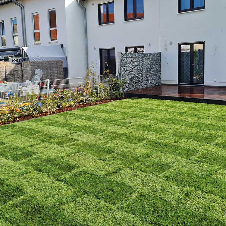 Rasenneuanlage